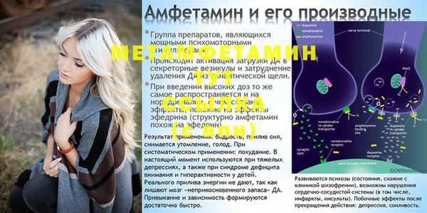 дмт Богданович
