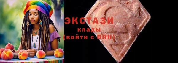 дмт Богданович