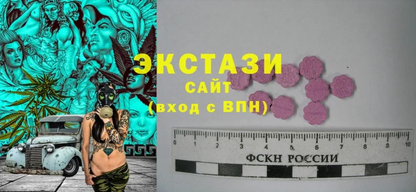 гашик Богородицк