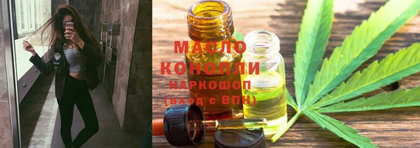 дмт Богданович
